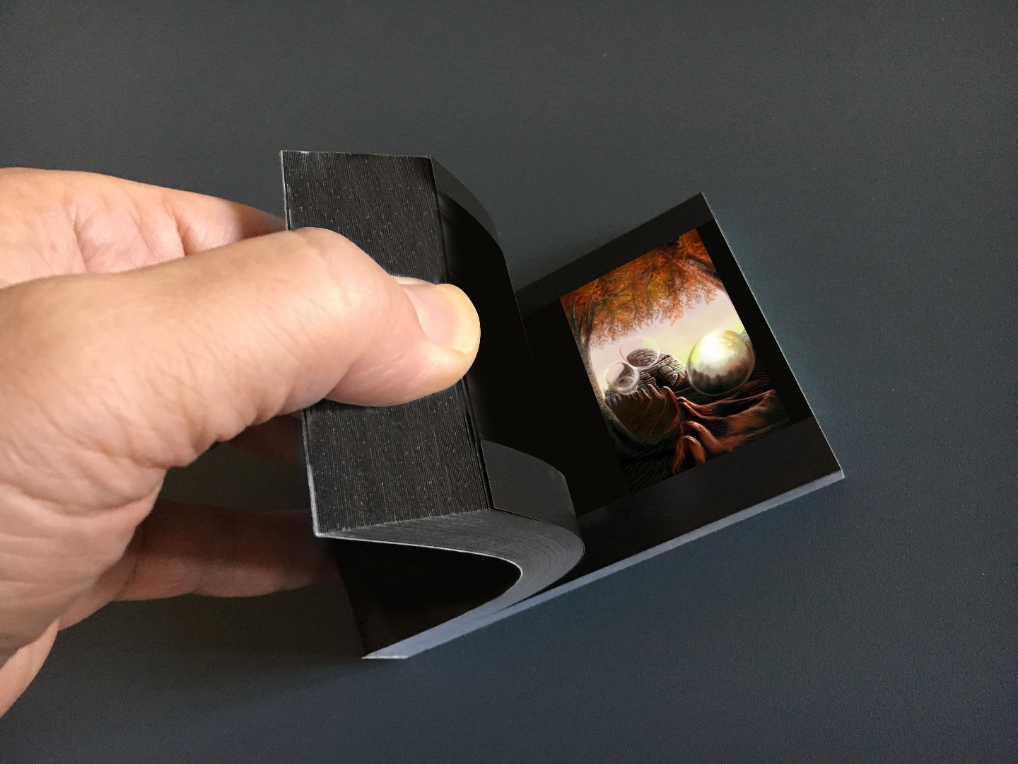 Flipbook  DFF2