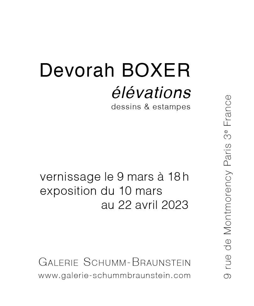 D. Boxer Carton Élévations GSB