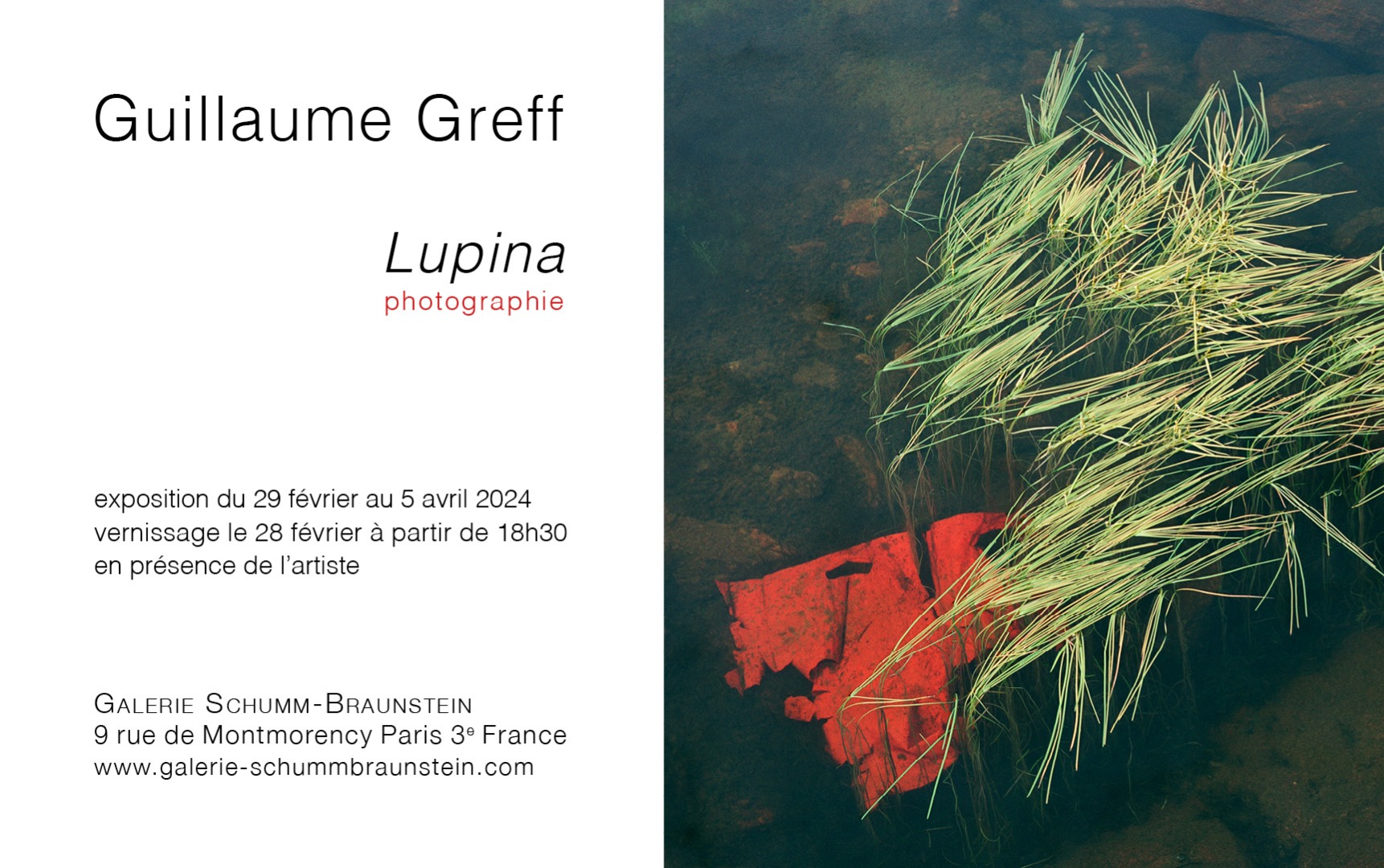 GuillaumeGREFF Lupina GSB