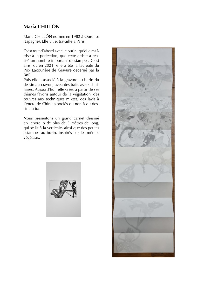 CP Carnets D'artistes GSB4